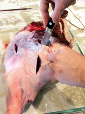 начинена нога