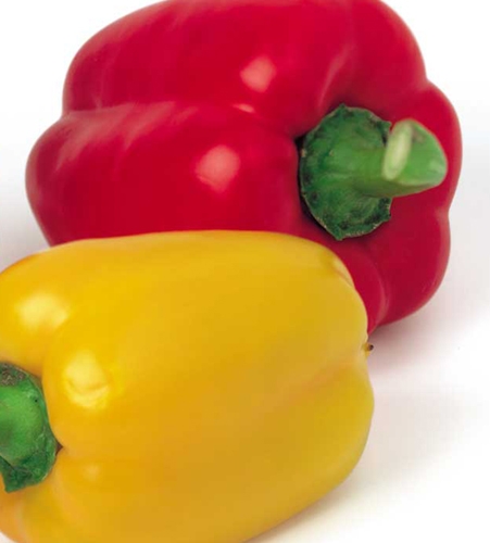 Солодкий болгарський перець