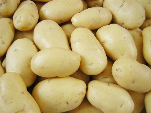 картопля