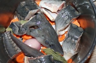 Укладаємо осетер з цибулею в каструлю