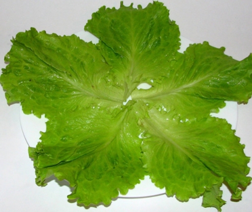 Викладаємо салат шарами на листя салату