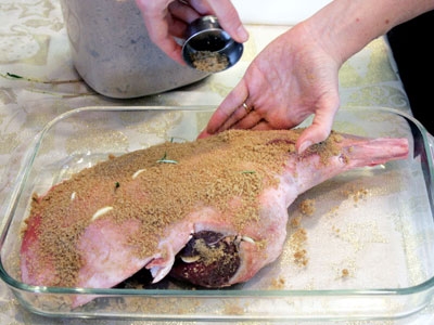 нога у формі