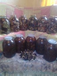 складаємо гриби в банки і закриваємо кришками