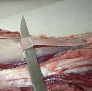 зрізаємо прожилки і плівочки