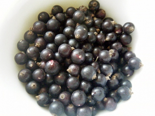 смородина в мисці