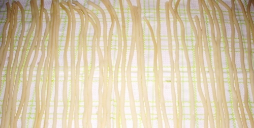 варимо макороны а потім обсушуємо їх