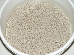 Варимо квасолю