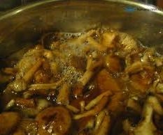 кип'ятимо гриби в каструлі