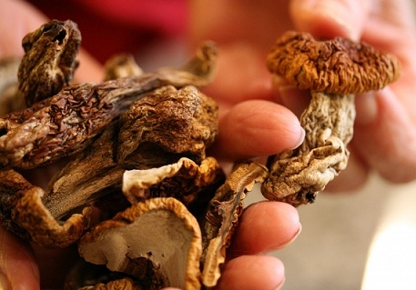 Перевіряємо готовність грибів і прибираємо їх на зберігання