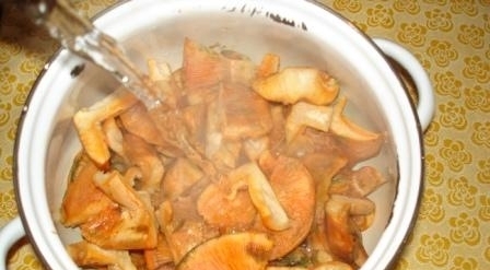 заливаємо водою