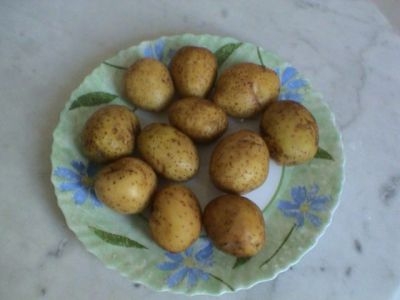 картопля