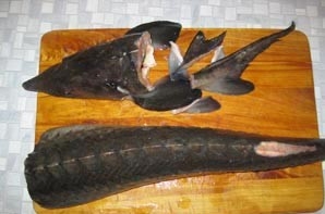 розбираємо осетрину