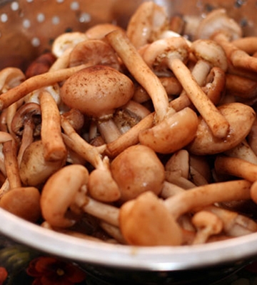 Варимо гриби