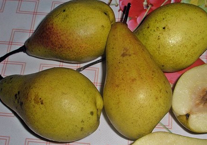 Груші для сушки