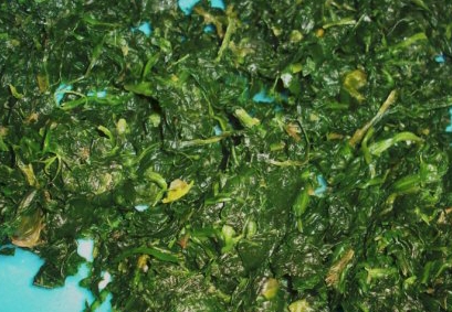 розморожуємо шпинат