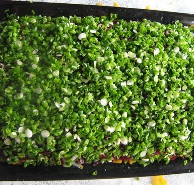 зверху посипаємо цибулею