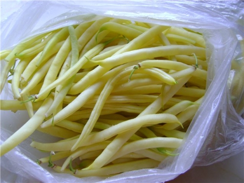 Стручки квасолі