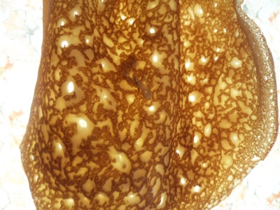 прозорий млинець