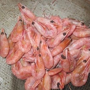 креветки в друшляку