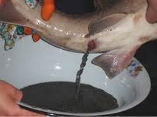 Очищення осетра