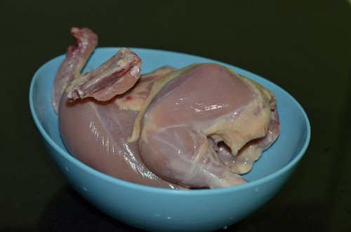 курка в мисці