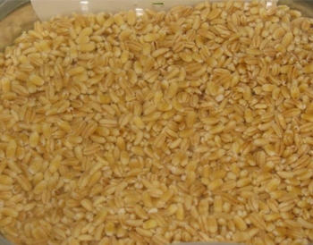 Заливаємо перловку водою