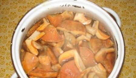 залишаємо на півгодини