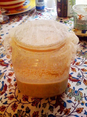 закваска з борошна