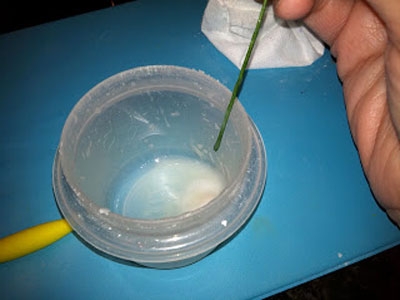 банку з сиропом