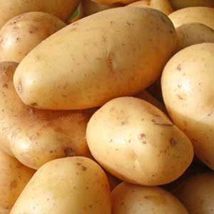 картопля