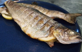 форель на мангалі