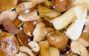 промиваємо опеньки під водою