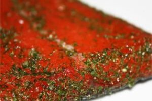 Солоний лосось