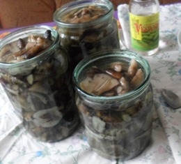 розкладаємо гриби по банкам