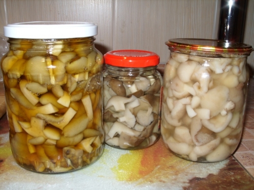 розкладаємо рижики в банки