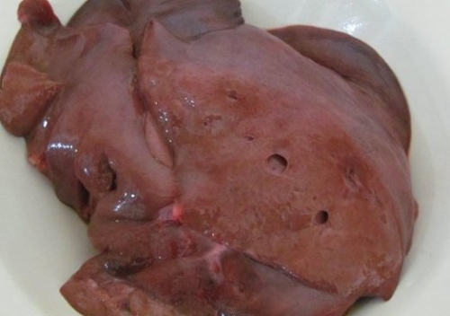 печінка свиняча