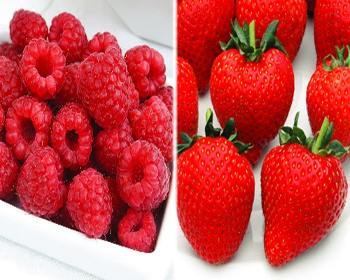 малина і полуниця