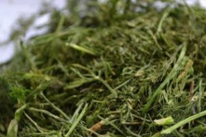 Зелень на зиму (сушка)