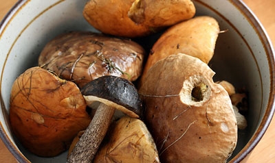 гриби в мисці