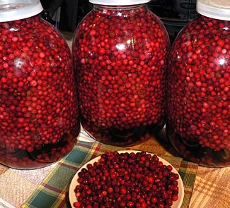 Викладаємо брусницю в банки