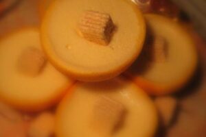 Ванільна панакота