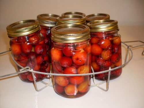 сітка автоклава з банками