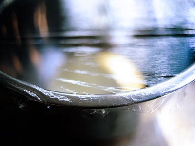 тісто під плівкою