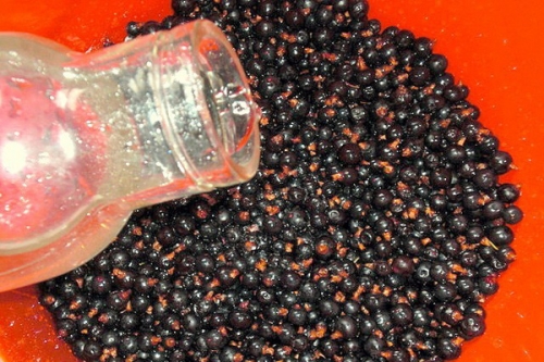 вода і смородина