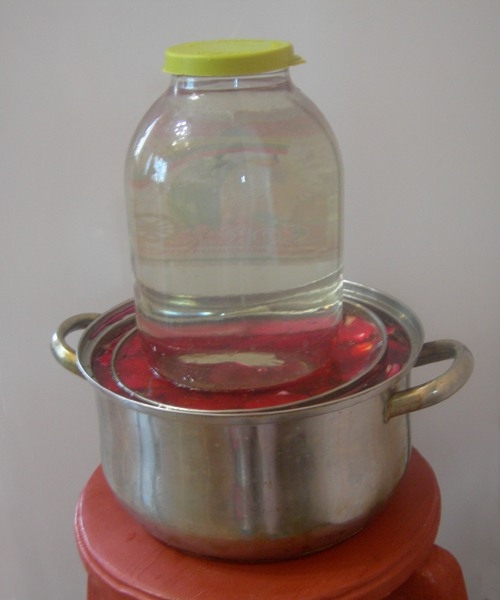 Маринуємо капусту