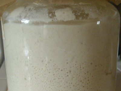 натуральна закваска для хліба