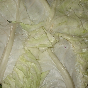 другий шар капусти