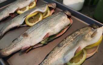 фаршируємо форель овочевою начинкою і прикрашаємо кружечками лимона