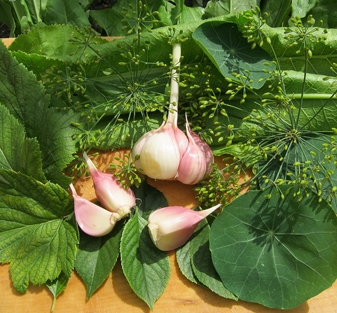 спеції для консервації