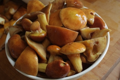 маслюки в тарілці